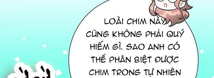 Công Chúa Của Loài Chim Chapter 49 - 14