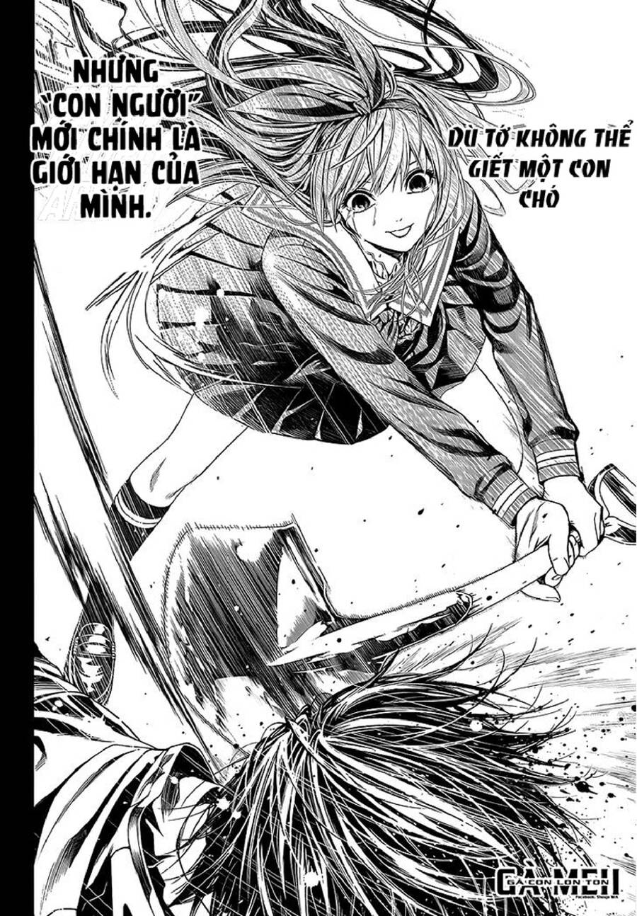 Tuyển Tập Oneshot Chapter 259 - 17