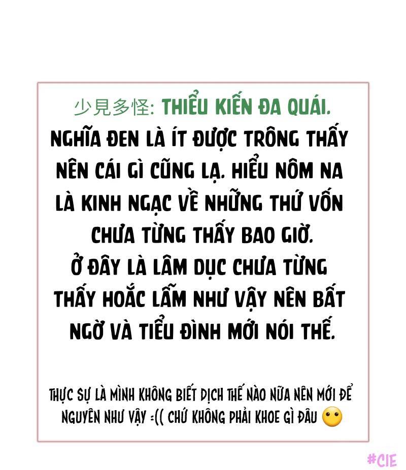 Boss Là Kim Chủ Của Tôi Chapter 52 - 40
