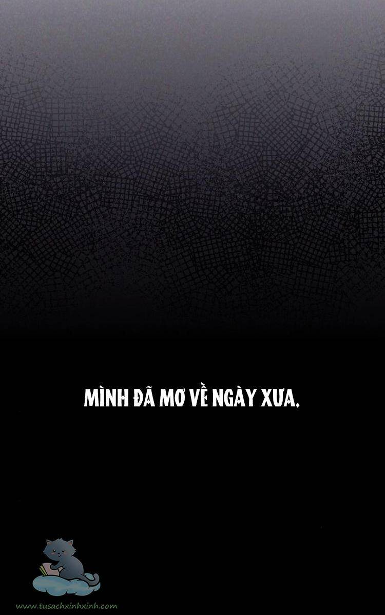 Cô Đi Mà Kết Hôn Với Chồng Tôi Đi Chapter 13 - 51