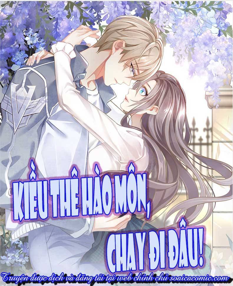 Kiều Thê Hào Môn Chạy Đi Đâu Chapter 6 - 1