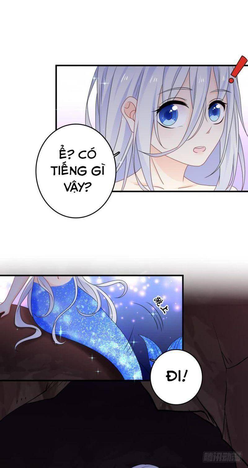 Nhân Ngư Học Trưởng, Đừng Ôm Ta! Chapter 46 - 19