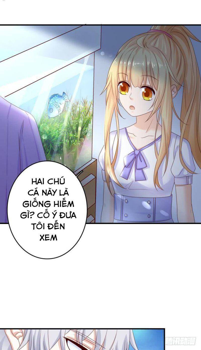 Nhân Ngư Học Trưởng, Đừng Ôm Ta! Chapter 49 - 20