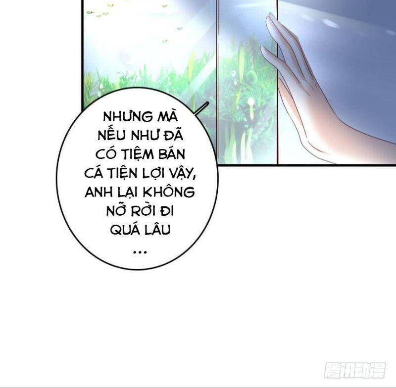 Nhân Ngư Học Trưởng, Đừng Ôm Ta! Chapter 49 - 23