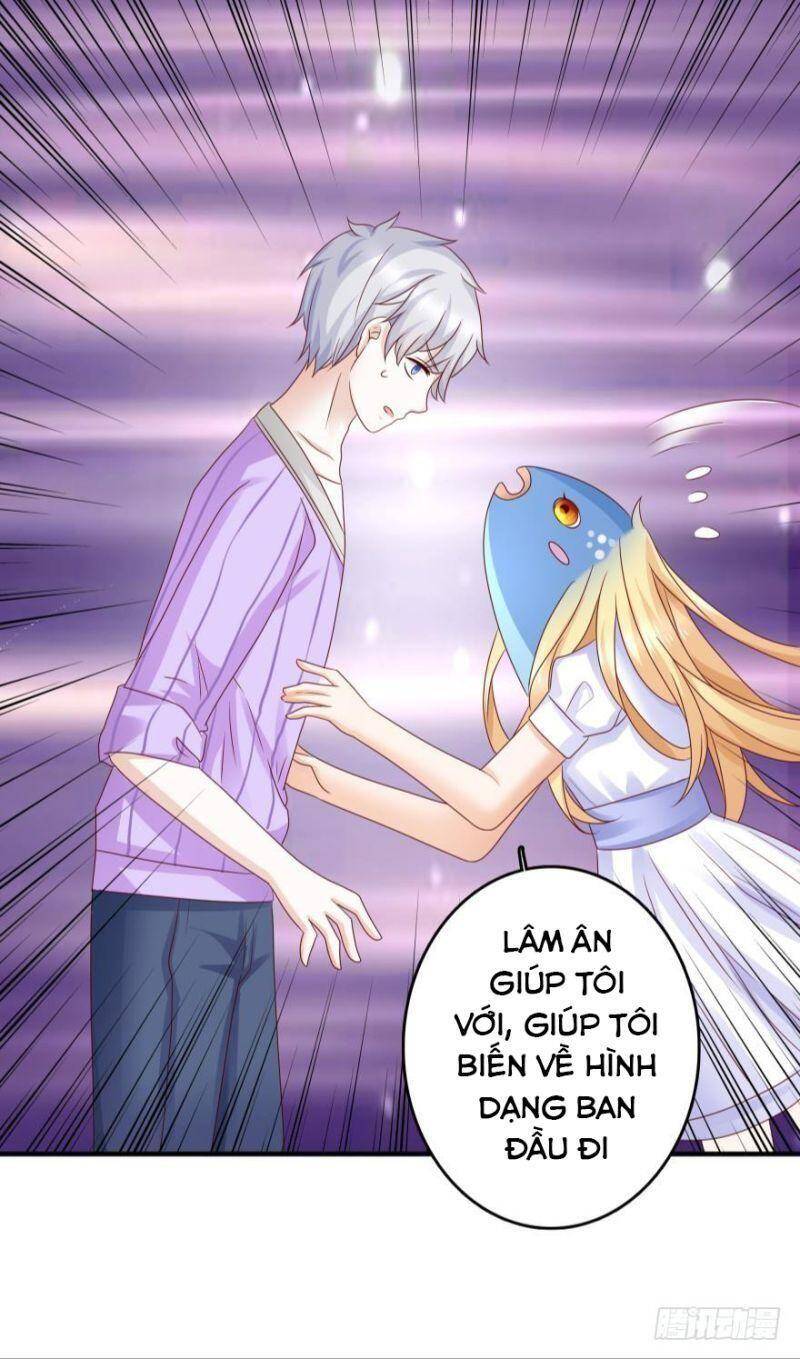 Nhân Ngư Học Trưởng, Đừng Ôm Ta! Chapter 50 - 24
