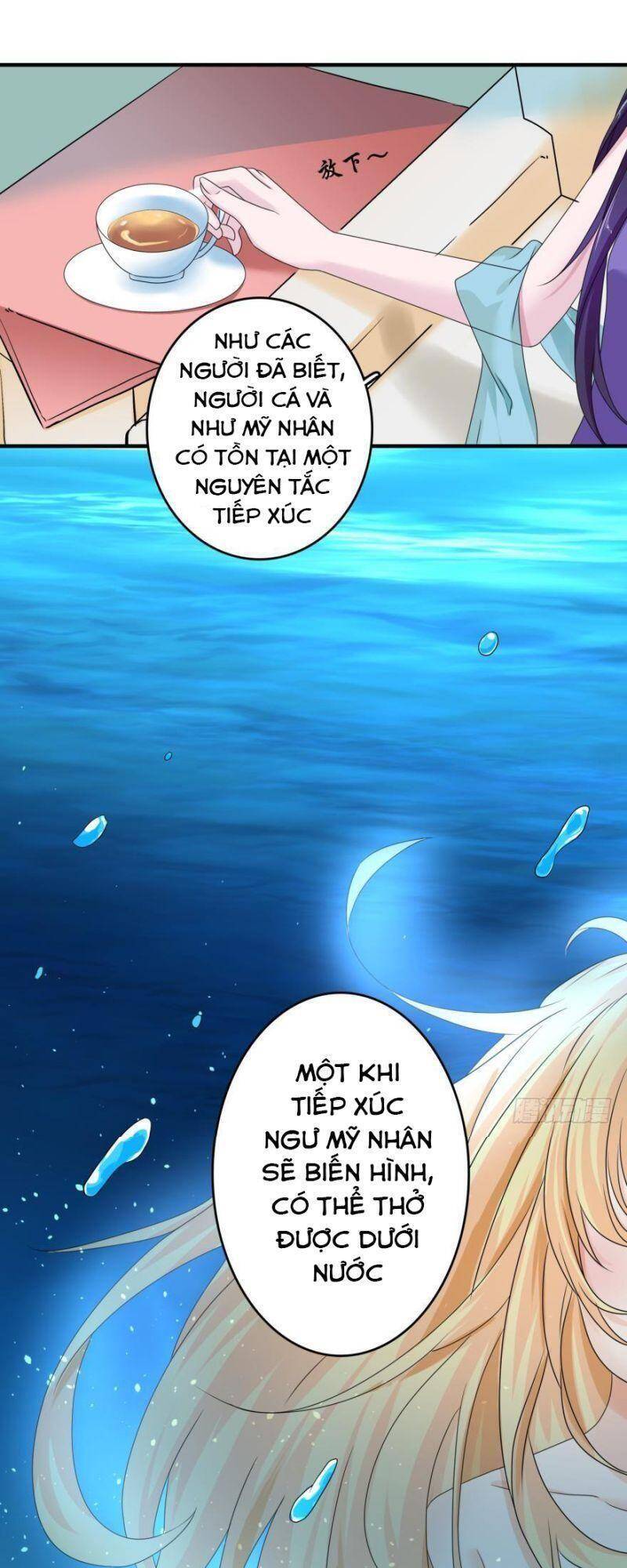 Nhân Ngư Học Trưởng, Đừng Ôm Ta! Chapter 51 - 5