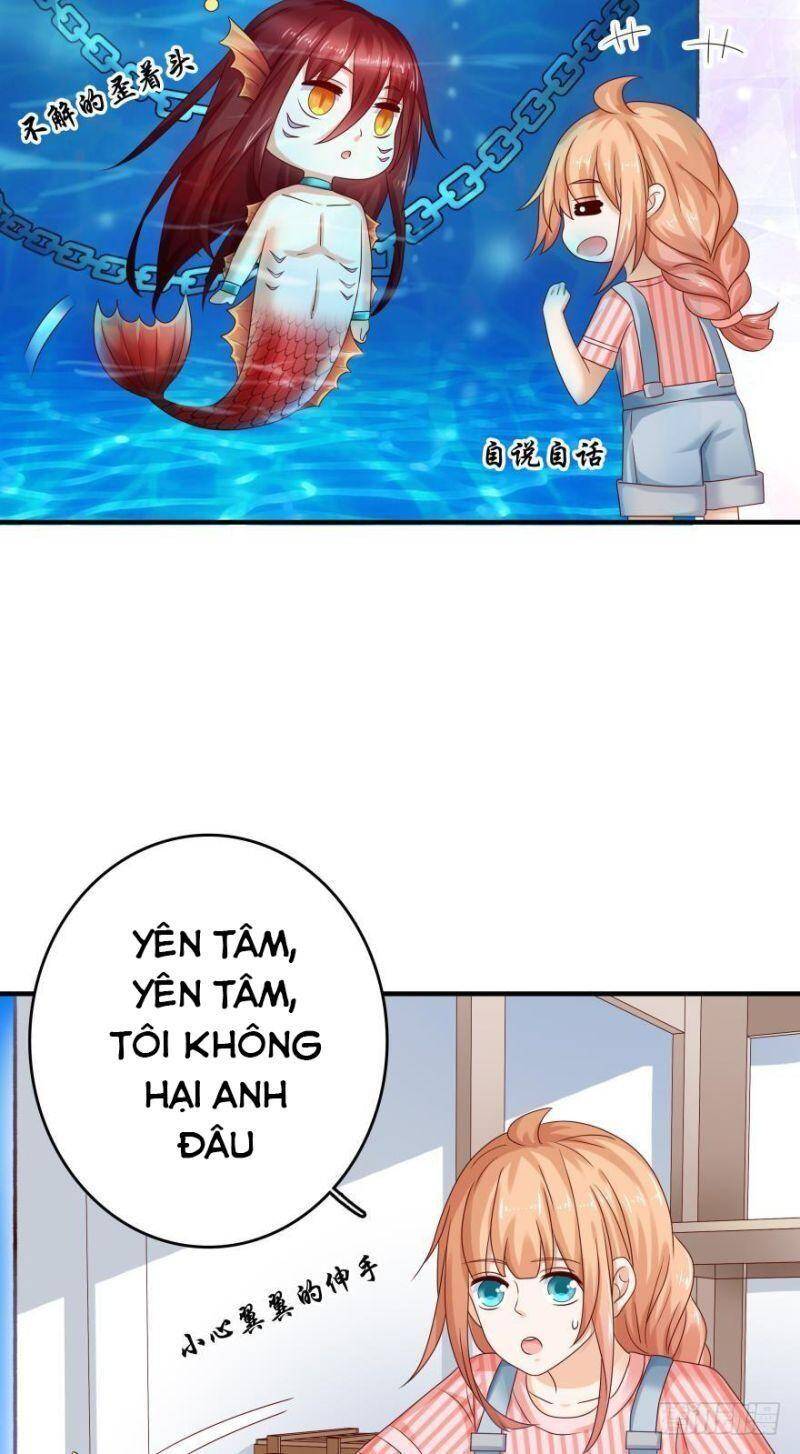 Nhân Ngư Học Trưởng, Đừng Ôm Ta! Chapter 54 - 11
