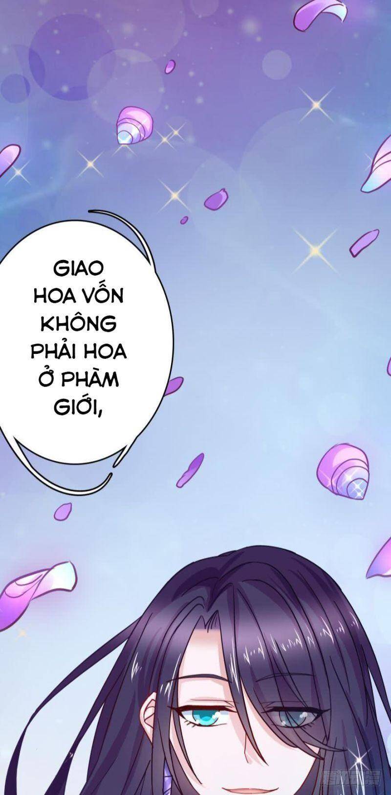 Nhân Ngư Học Trưởng, Đừng Ôm Ta! Chapter 62 - 41
