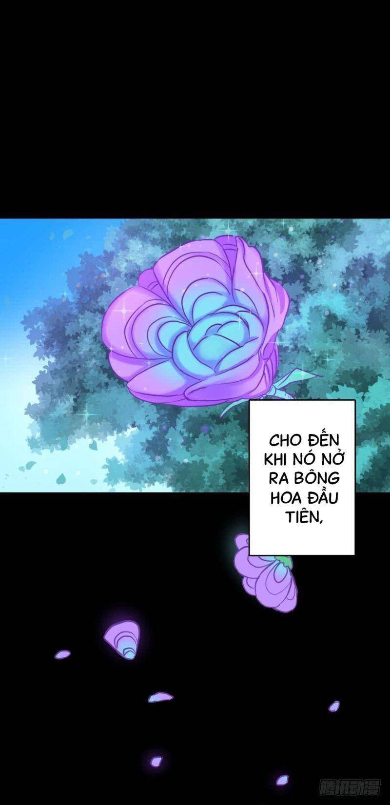 Nhân Ngư Học Trưởng, Đừng Ôm Ta! Chapter 70 - 19