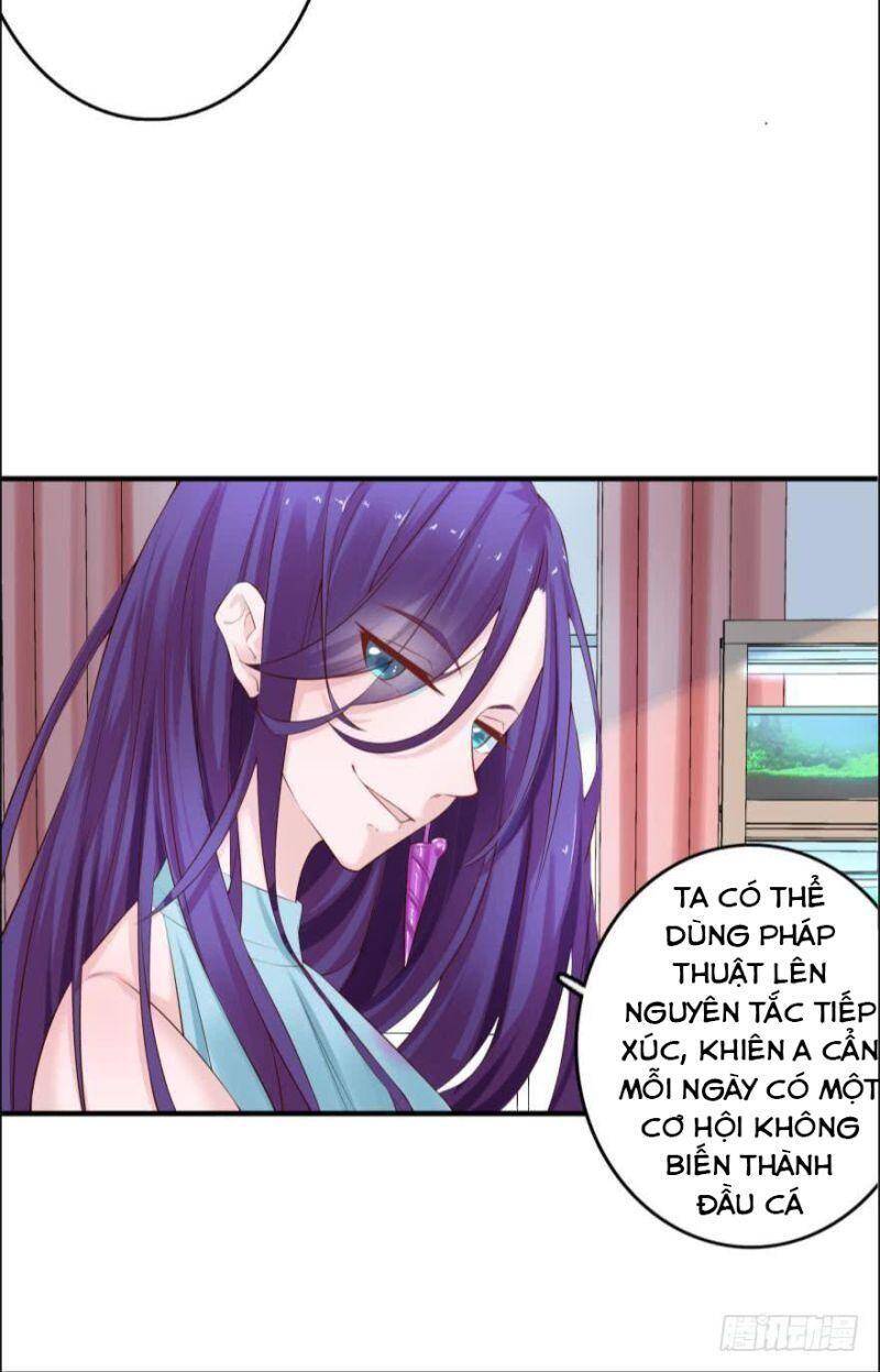 Nhân Ngư Học Trưởng, Đừng Ôm Ta! Chapter 74 - 9