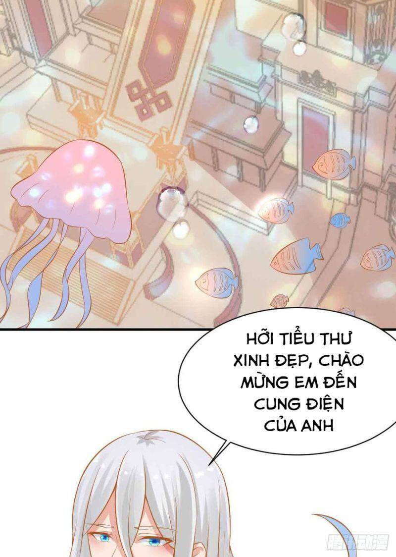 Nhân Ngư Học Trưởng, Đừng Ôm Ta! Chapter 84 - 41