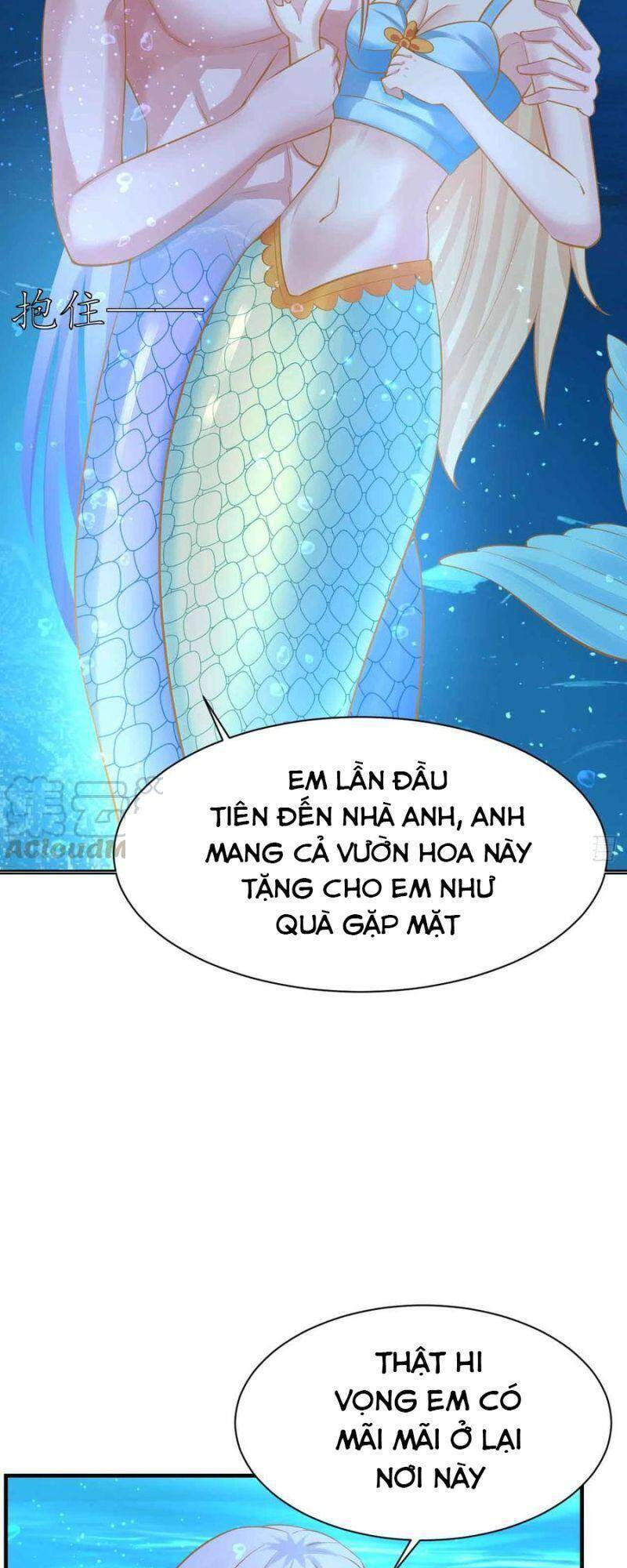 Nhân Ngư Học Trưởng, Đừng Ôm Ta! Chapter 85 - 38