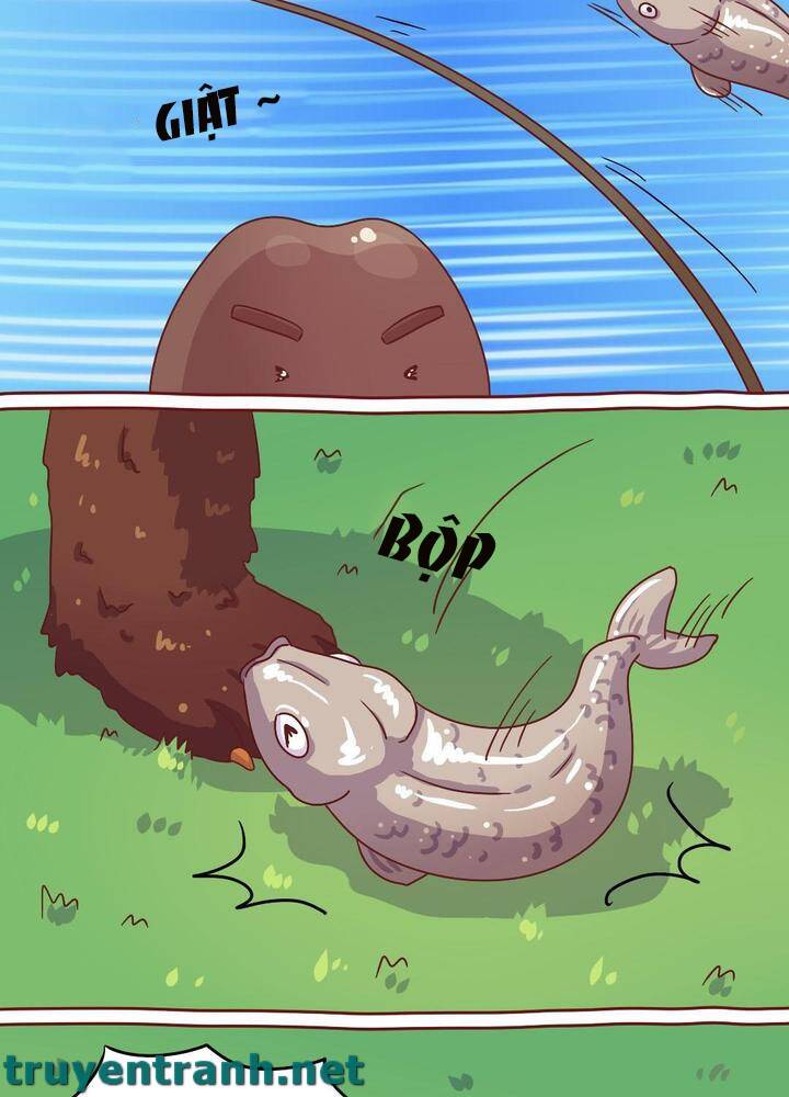 Cây Nấm Kì Khả Chapter 14 - 5