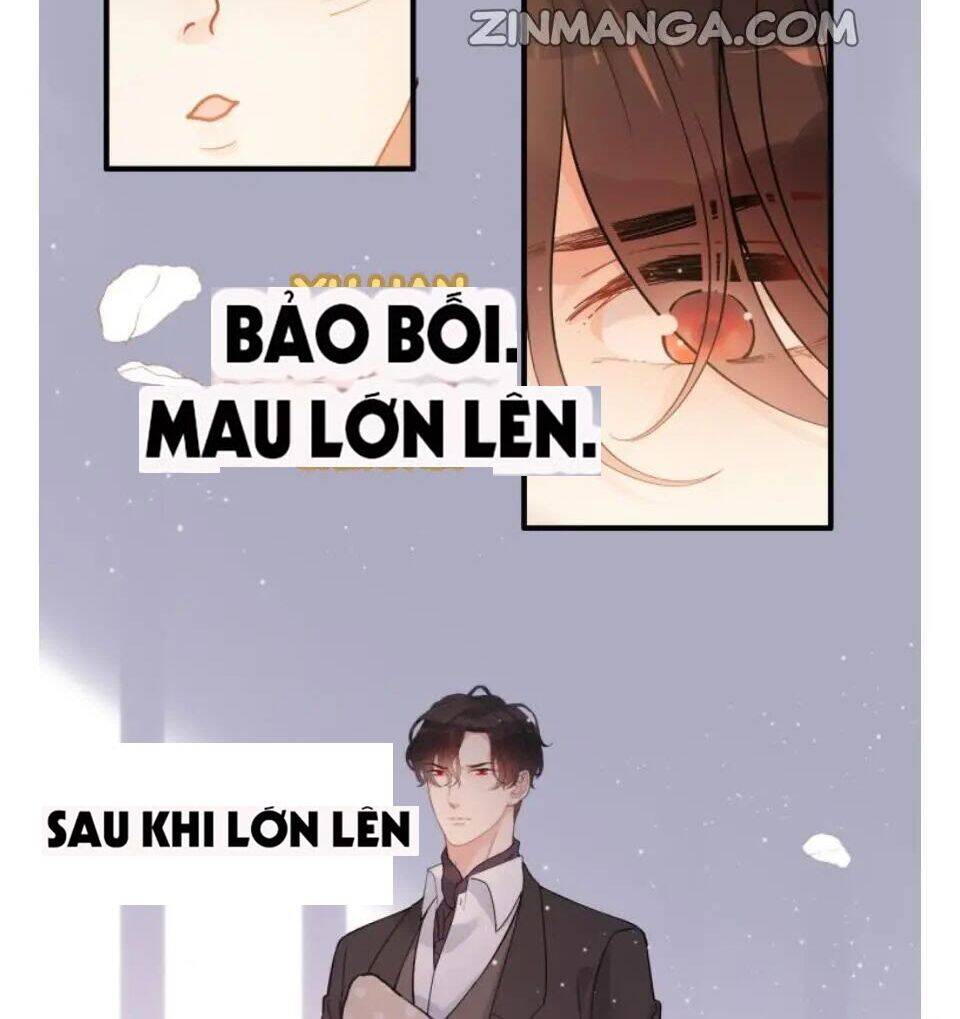 Cô Vợ Hợp Đồng Bỏ Trốn Của Tổng Giám Đốc Chapter 302 - 73