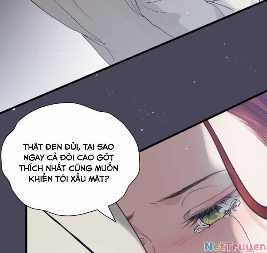 Cô Vợ Hợp Đồng Bỏ Trốn Của Tổng Giám Đốc Chapter 431.2 - 10