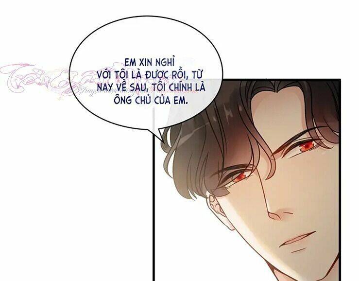 Cô Vợ Hợp Đồng Bỏ Trốn Của Tổng Giám Đốc Chapter 320 - 23