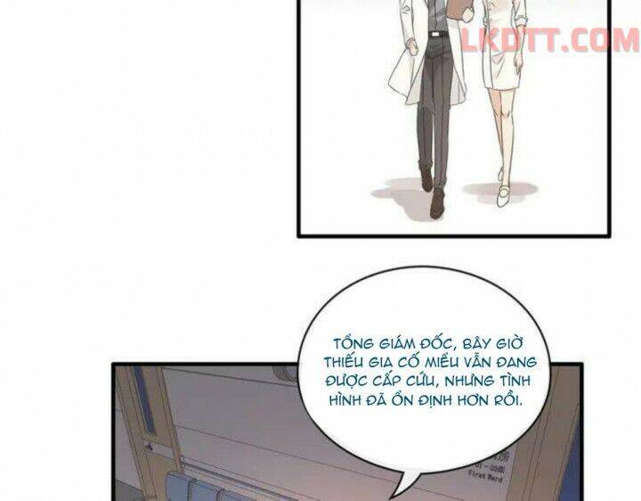 Cô Vợ Hợp Đồng Bỏ Trốn Của Tổng Giám Đốc Chapter 332 - 5