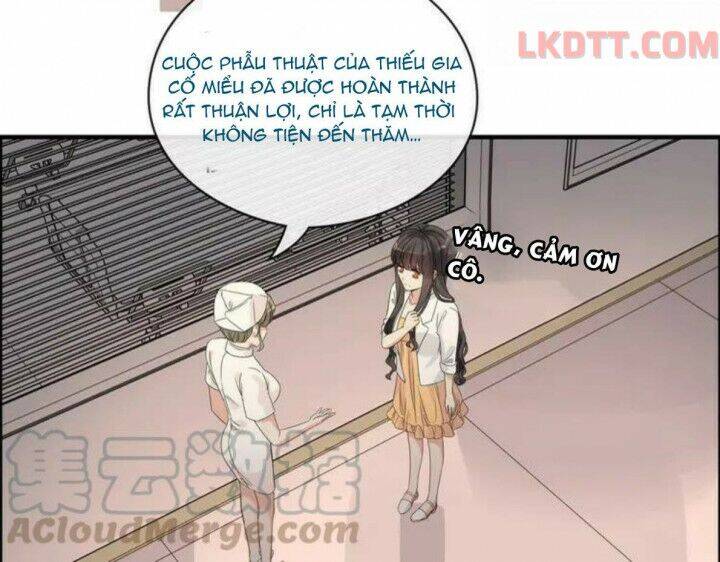 Cô Vợ Hợp Đồng Bỏ Trốn Của Tổng Giám Đốc Chapter 332 - 50