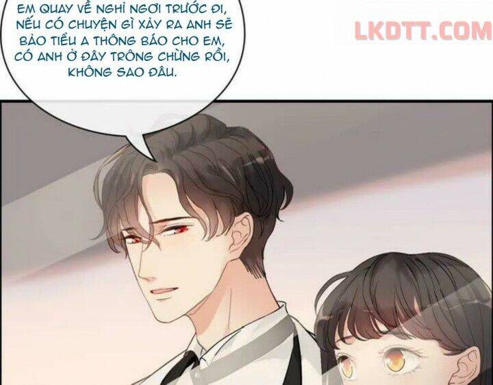 Cô Vợ Hợp Đồng Bỏ Trốn Của Tổng Giám Đốc Chapter 332 - 58