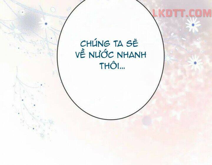 Cô Vợ Hợp Đồng Bỏ Trốn Của Tổng Giám Đốc Chapter 332 - 95