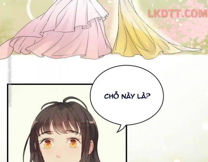 Cô Vợ Hợp Đồng Bỏ Trốn Của Tổng Giám Đốc Chapter 333 - 37