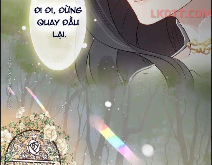 Cô Vợ Hợp Đồng Bỏ Trốn Của Tổng Giám Đốc Chapter 333 - 51
