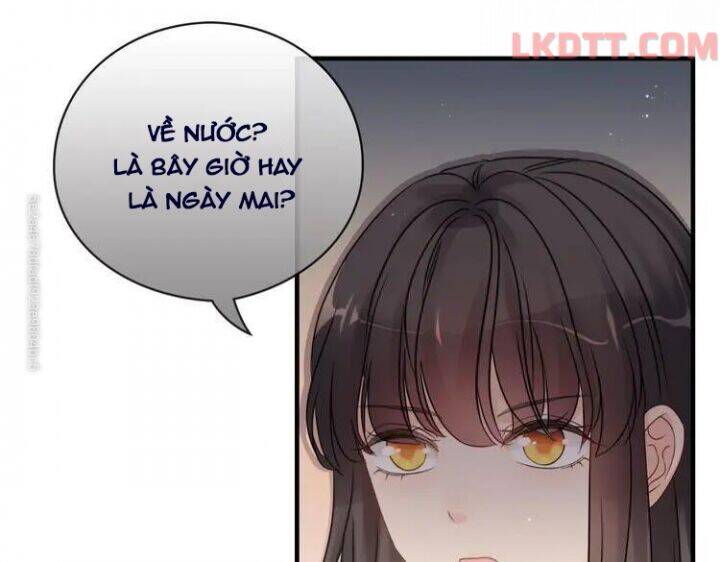 Cô Vợ Hợp Đồng Bỏ Trốn Của Tổng Giám Đốc Chapter 333 - 66