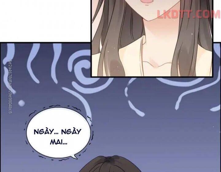 Cô Vợ Hợp Đồng Bỏ Trốn Của Tổng Giám Đốc Chapter 333 - 67