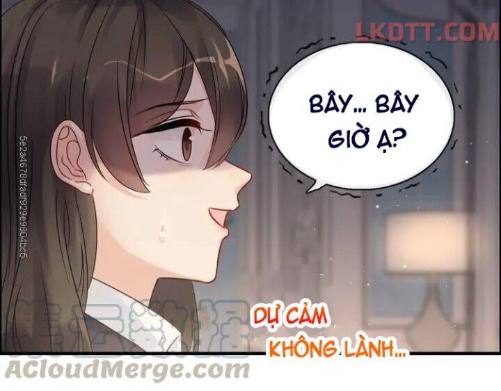 Cô Vợ Hợp Đồng Bỏ Trốn Của Tổng Giám Đốc Chapter 333 - 72