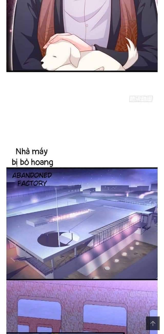 Hắc Đạo Này Có Chút Manh Chapter 102 - 23