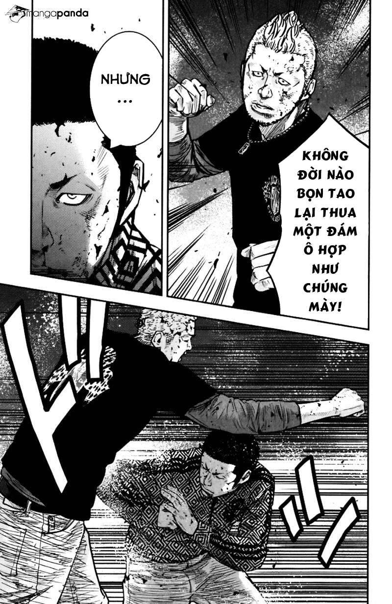 Clover Chapter 233 - 17