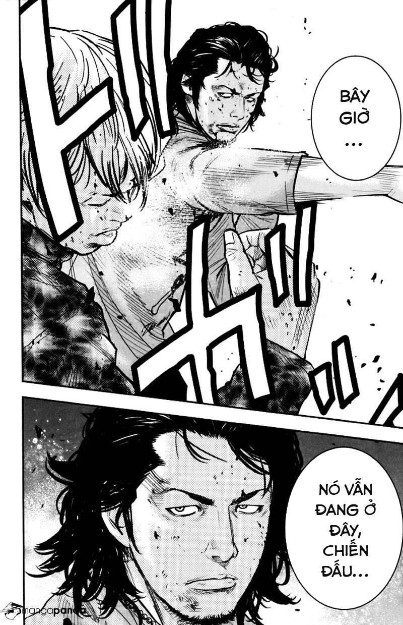 Clover Chapter 234 - 19