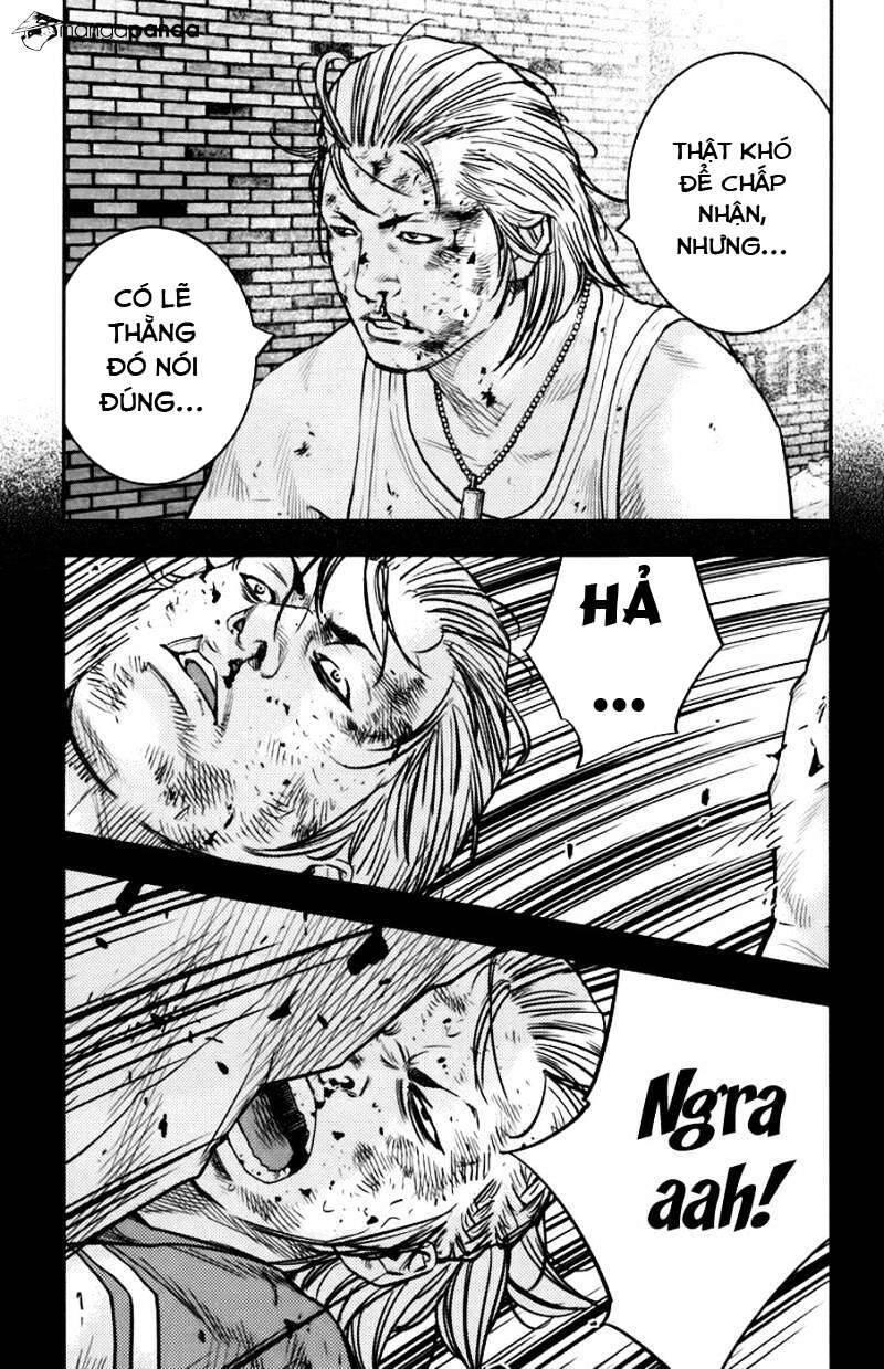 Clover Chapter 239 - 10