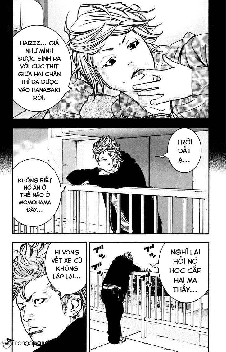 Clover Chapter 246 - 6