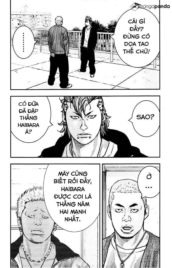 Clover Chapter 246 - 8