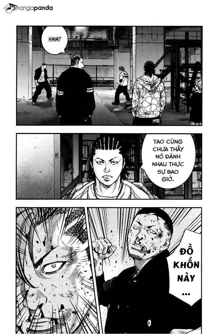 Clover Chapter 252 - 13