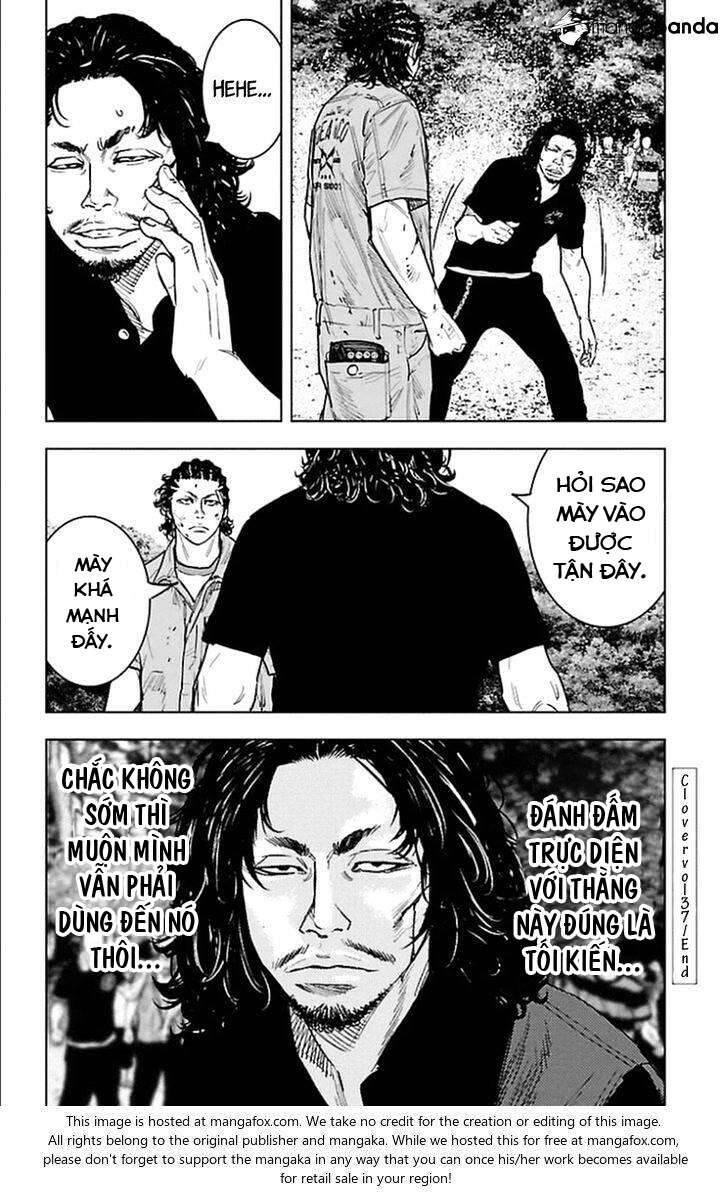 Clover Chapter 341 - 17