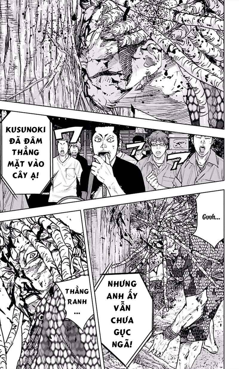 Clover Chapter 374 - 15