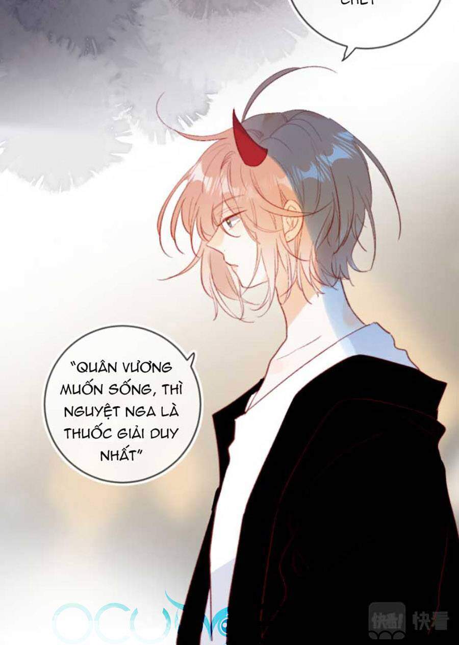 Hoa Dữ Ẩn Nặc Chi Ô Chapter 127 - 16
