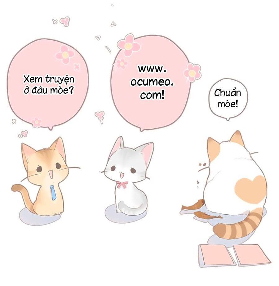 Lại Gặp Được Em Chapter 117 - 26