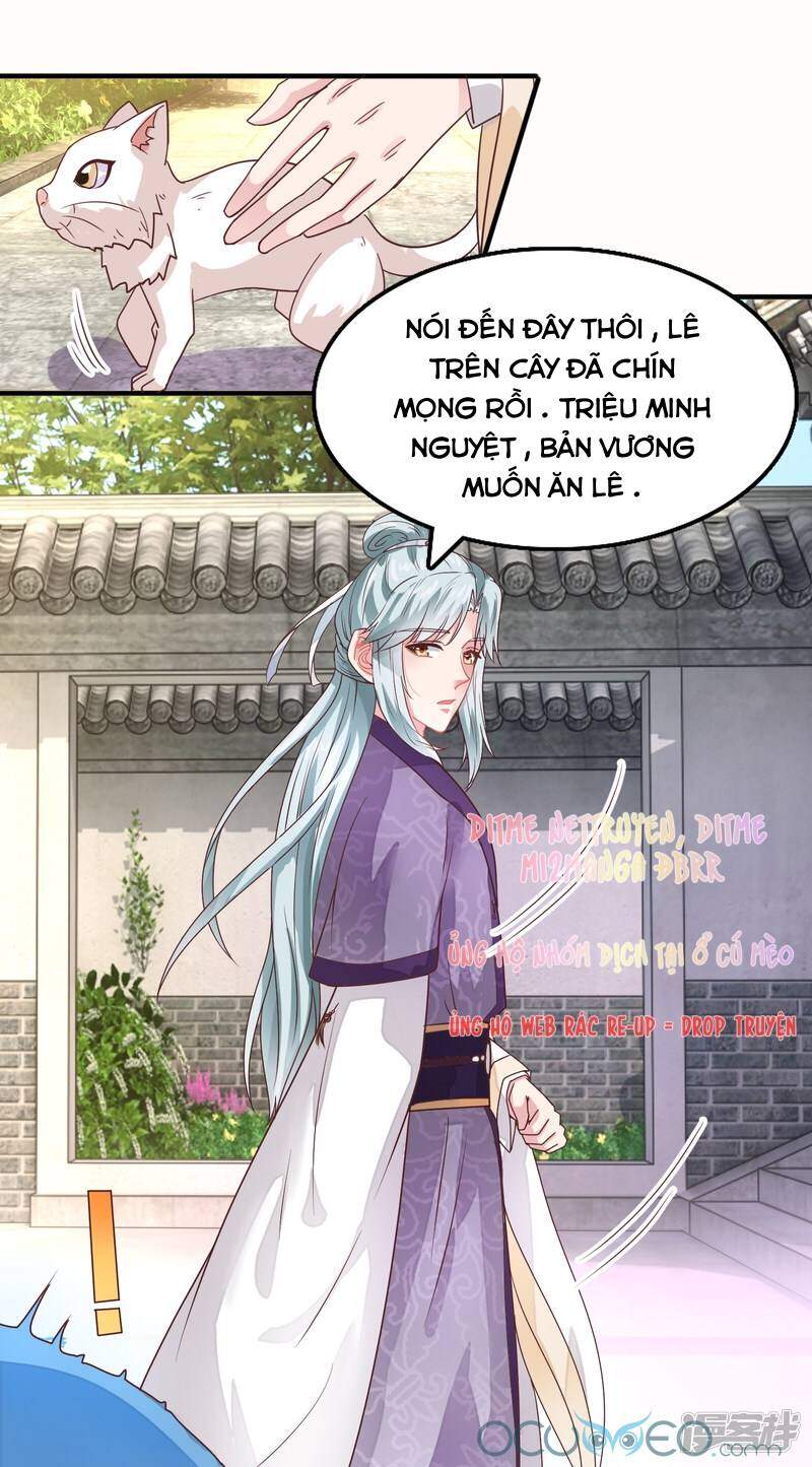 Tư Sủng Âm Dương Phi Chapter 16 - 23