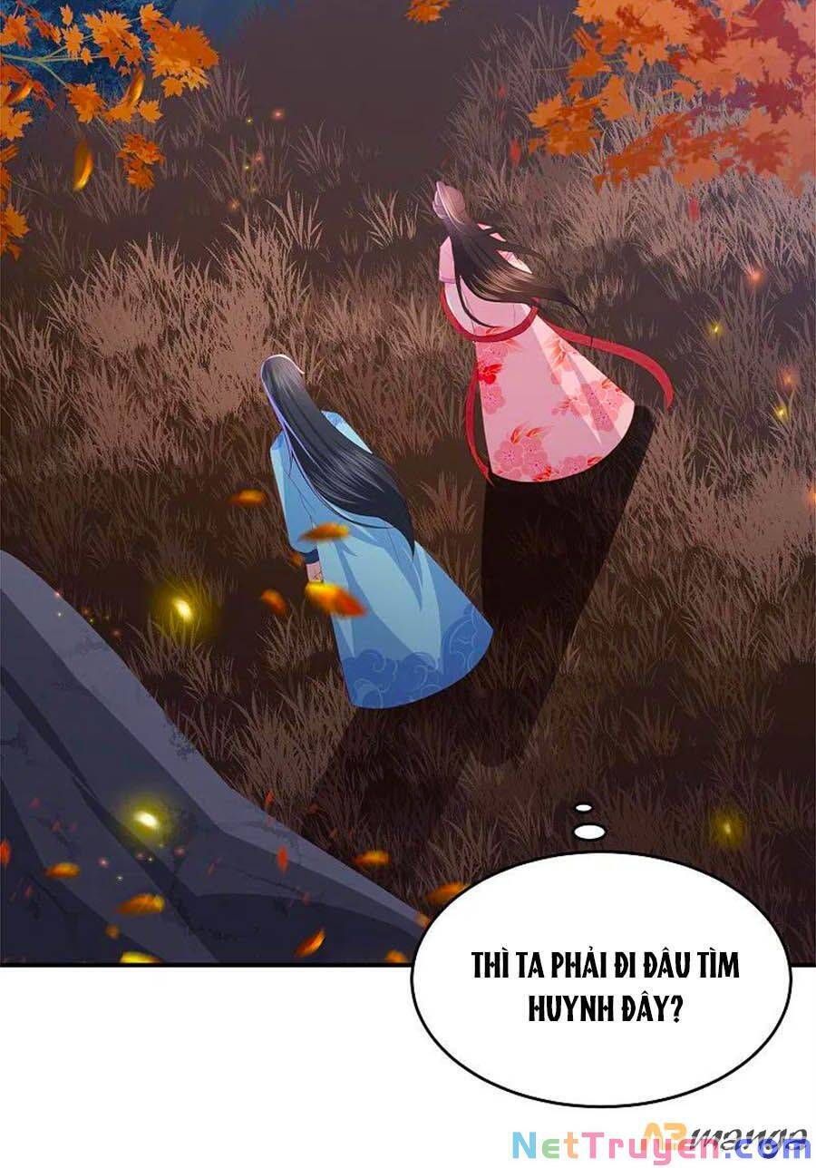Phượng Hoàng Thác: Chuyên Sủng Khí Thê Chapter 207 - 12