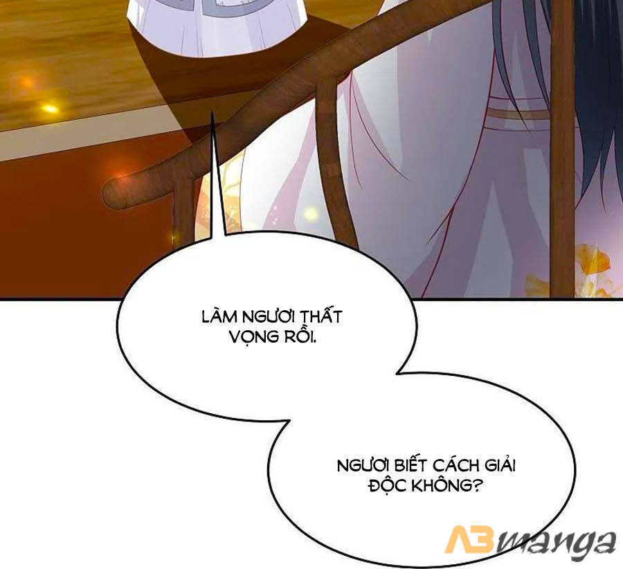 Phượng Hoàng Thác: Chuyên Sủng Khí Thê Chapter 223 - 18