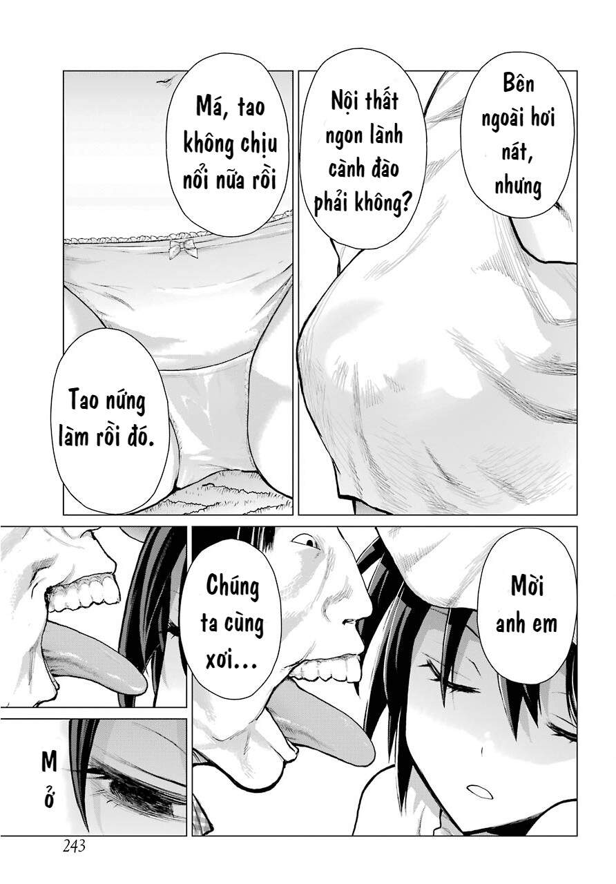 Blattodea Chapter 1 - 8