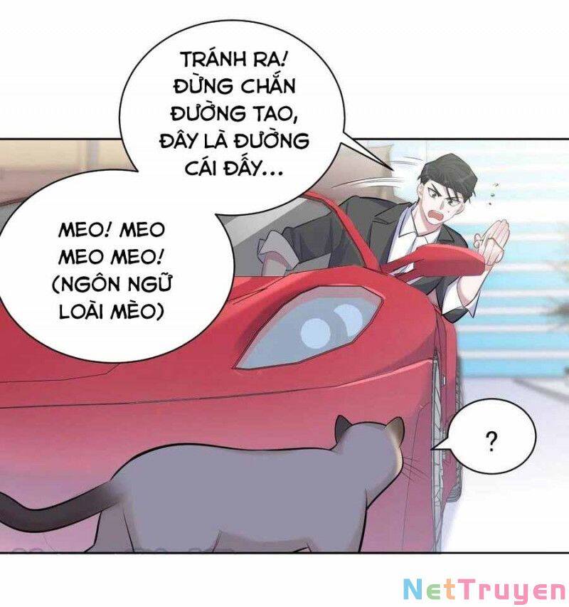 Cha Vợ Đại Nhân Là Bà Xã Chapter 103 - 13