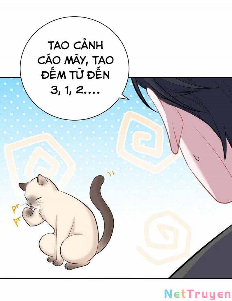 Cha Vợ Đại Nhân Là Bà Xã Chapter 103 - 14