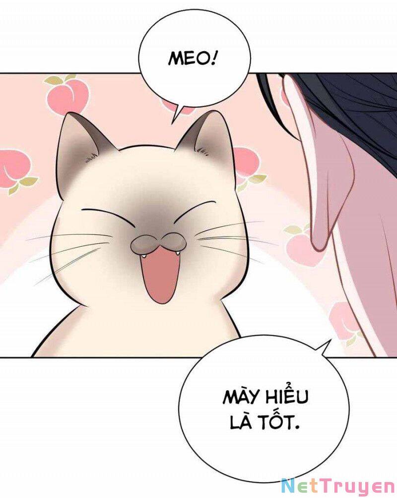 Cha Vợ Đại Nhân Là Bà Xã Chapter 103 - 18