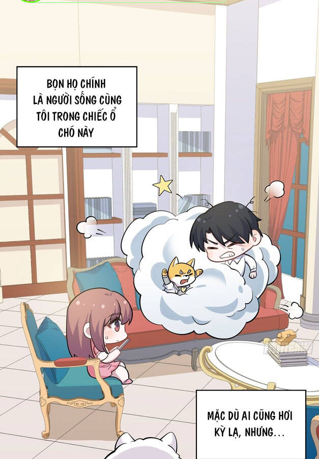 Cha Vợ Đại Nhân Là Bà Xã Chapter 156 - 21