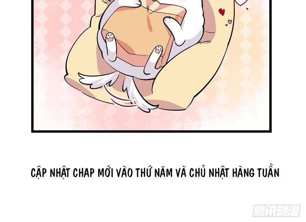 Cha Vợ Đại Nhân Là Bà Xã Chapter 156 - 24