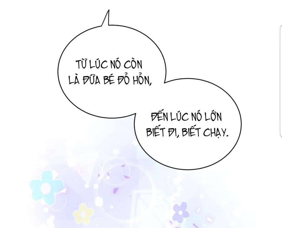 Đứa Bé Là Của Ai ???? Chapter 144 - 59